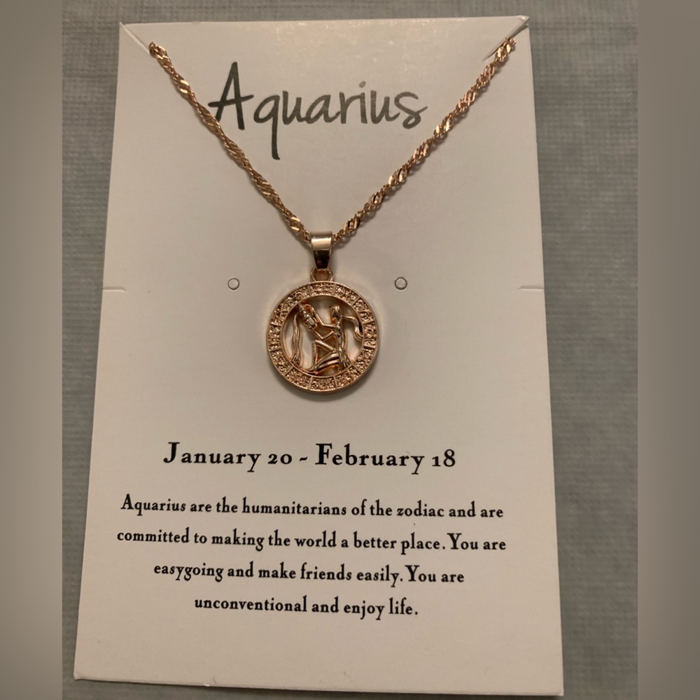Aquarius Pendant on 19” Pendant in Rose Gold Colour